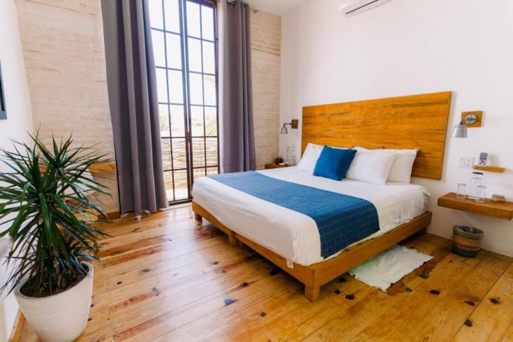 Baja House Hotel Тодос Сантос Екстериор снимка