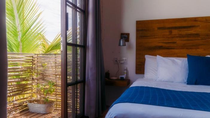 Baja House Hotel Тодос Сантос Екстериор снимка
