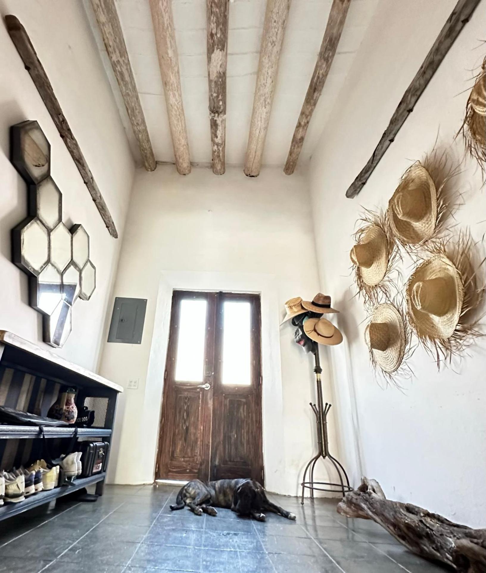 Baja House Hotel Тодос Сантос Екстериор снимка