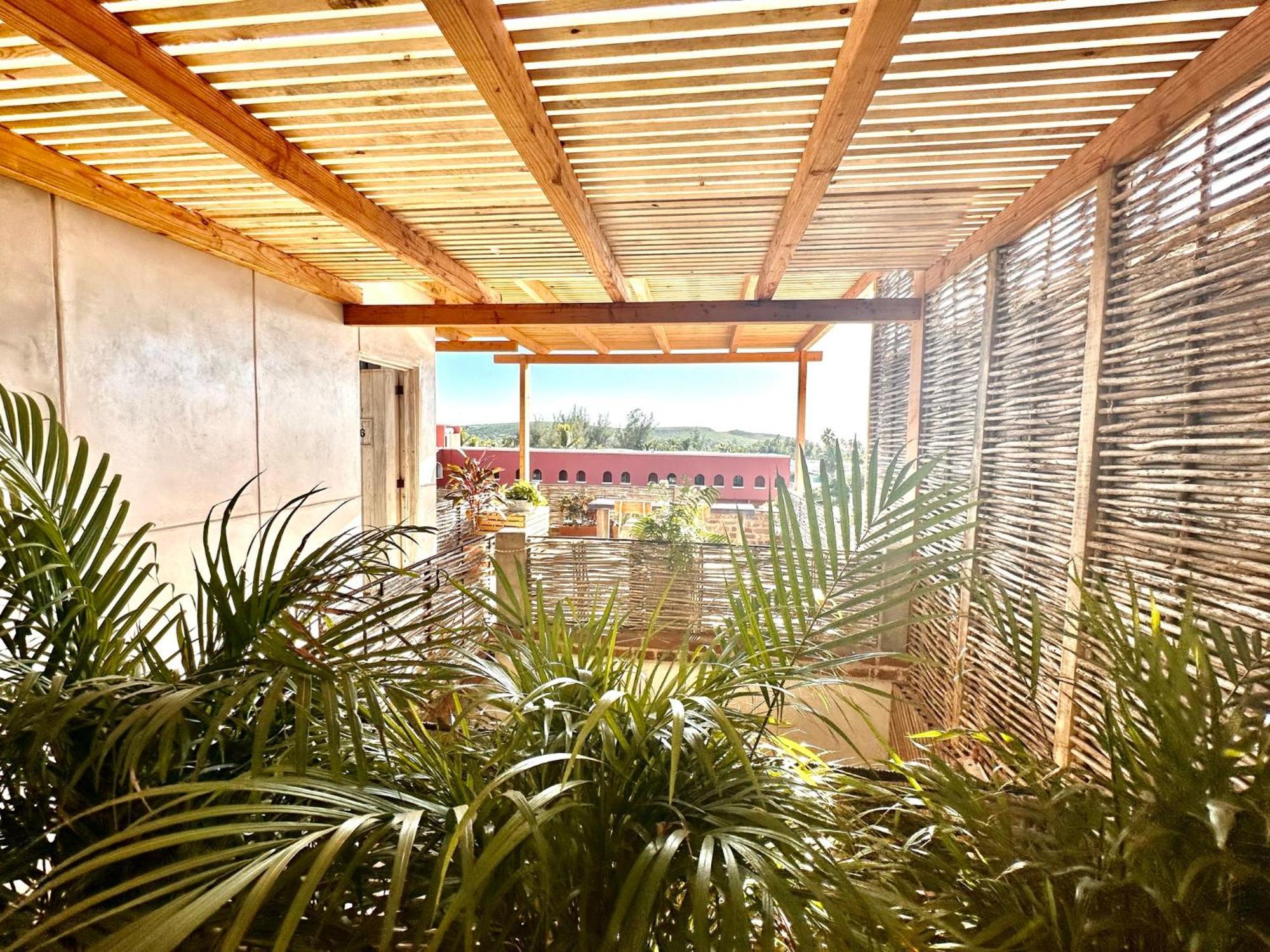 Baja House Hotel Тодос Сантос Екстериор снимка