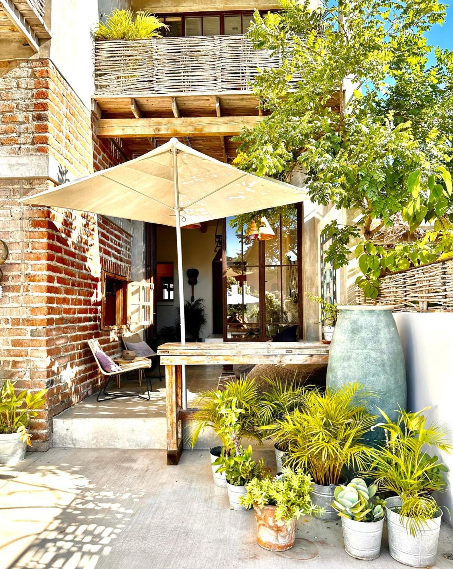 Baja House Hotel Тодос Сантос Екстериор снимка